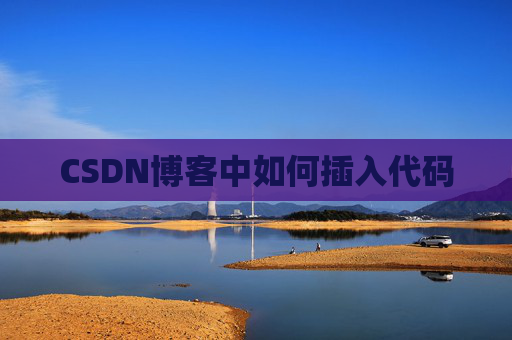 CSDN博客中如何插入代码